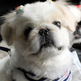 人好きな明るい男の子。