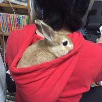 ドッピオ