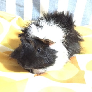 ご応募頂きありがとうございました。