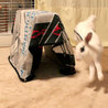 保護うさぎサプタちゃん サムネイル7