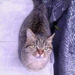 「木登り」サムネイル3