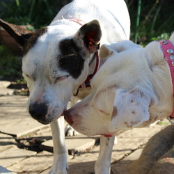 「クリスマスの朝」サムネイル2