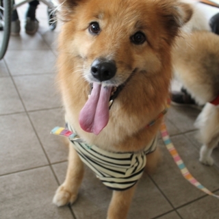 優しさ１００％穏やかイケメン　のっぽくん♂