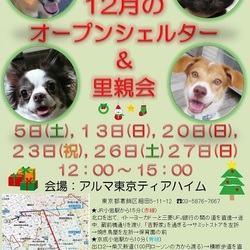 ティアハイムオープンシェルター里親会 サムネイル2