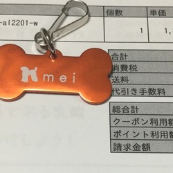 迷子が帰ってきたよ