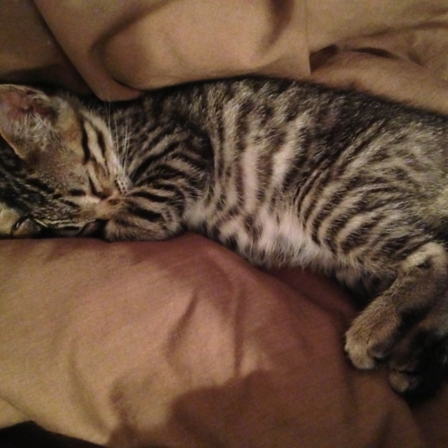 かおりん☆のカバー写真