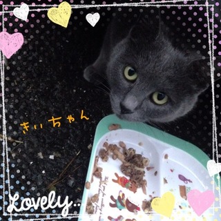 一時募集停止中☆