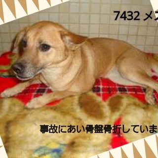 28日が期限です　骨折しています