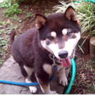 新しい家族ができました！！