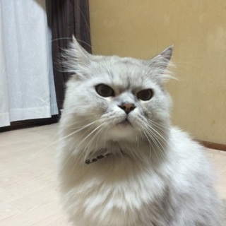 ありがとうございました