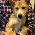 ありがとうございました