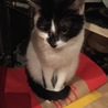２０１５年３月生まれのオトナ♂