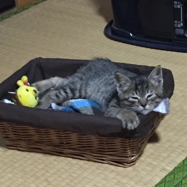アリーナ席でリラックス