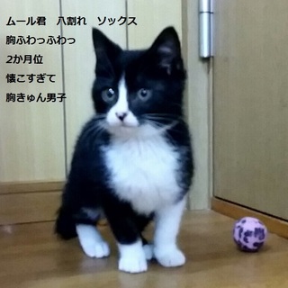 ちっさいけど器はでかい！かわいすぎる年下の男の子！