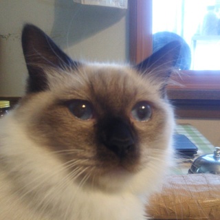 地元の方へ決まりました応募ありがとうございました