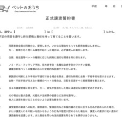 [ソラネコ]譲渡会