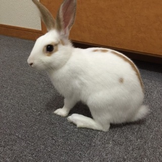 食い意地たっぷりの元気な男の子です！