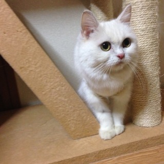 応募多数の為停止　