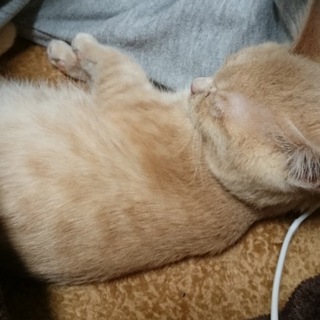 元気いっぱい!２ヶ月の男の子♪