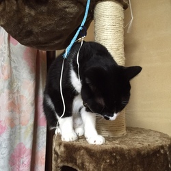 日々、穏やかに。