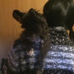 「イチの不思議な特技」サムネイル1