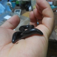 ラブリッジクロアシナシスキンク