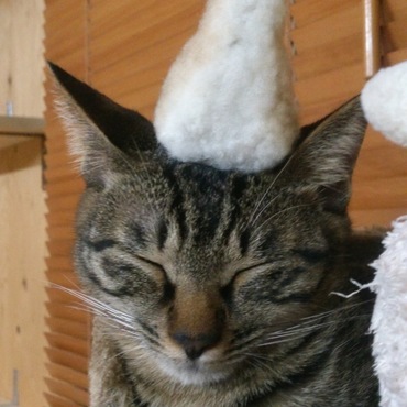 ゆず  と、アルパカ…♪♪