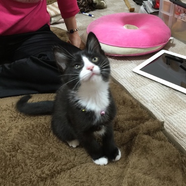 何見てるのかな？