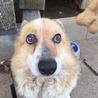 の写真