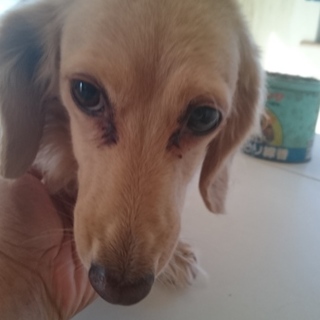 たくさんのメッセージありがとうございました。