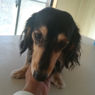 たくさんのメッセージありがとうございました。