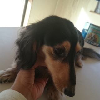 たくさんのメッセージありがとうございました。