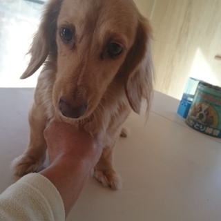 ご検討いただいていますので、募集を停止いたします。