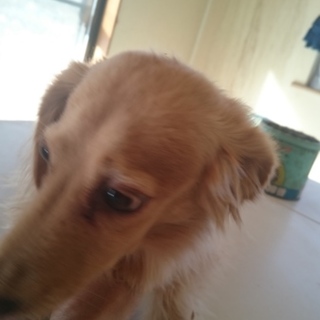 たくさんのメッセージありがとうございました。