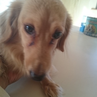 たくさんのメッセージありがとうございました。