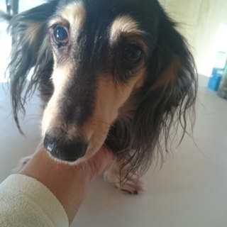 たくさんのメッセージありがとうございました。