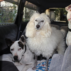 「感謝の一年 です。」サムネイル3