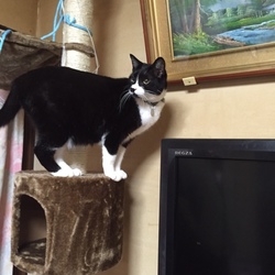 やっと・・・着けてくれました（＾＾）