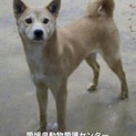 控えめな可愛い子です！
