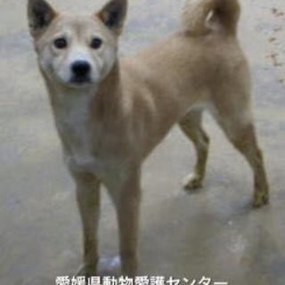 控えめな可愛い子です！