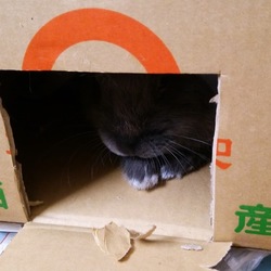 「7か月ですよ。」サムネイル2