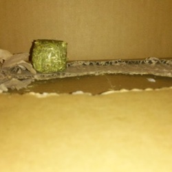 「7か月ですよ。」サムネイル3