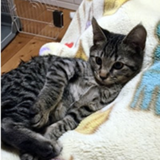 よく遊ぶかわいい子です