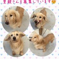 気長に付き合ってくださる方…リハビリ中