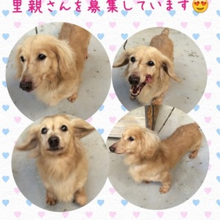 気長に付き合ってくださる方…リハビリ中