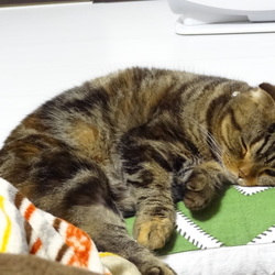 ２ヶ月が経ちました！