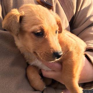 元気な女の子　郡山市保健所