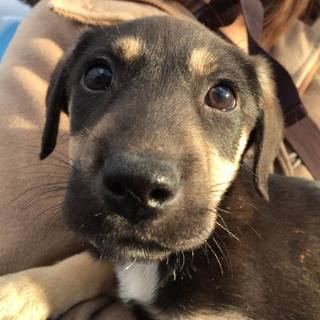 マロ顔がかわいい　男の子　郡山市保健所