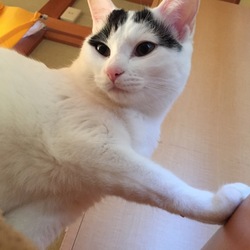 一緒に遊ひたいな