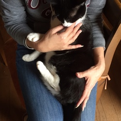 やらかした～　　（（（‘Д‘）））